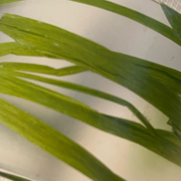 3/$20 Lucite plastic cuff - Picture 6 of 7